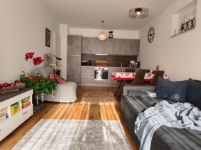 Ferienwohnung Karasek Deluxe